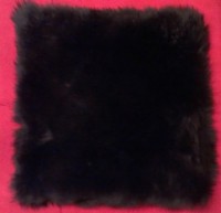 /album/blexfella/imag3009-1-jpg/