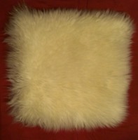 /album/blexfella/imag3014-1-jpg/