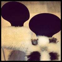 /album/blexfella/img-20140209-130003-jpg1/