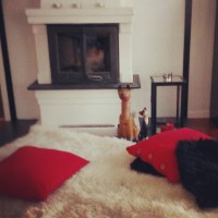 /album/blexfella/img-20140209-134601-jpg/